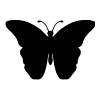 Butterfly Under Name